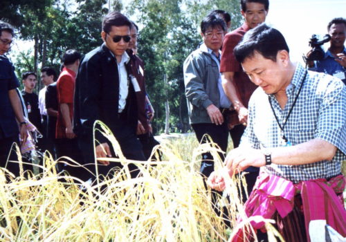 พักหนี้ = เพิ่มรายได้